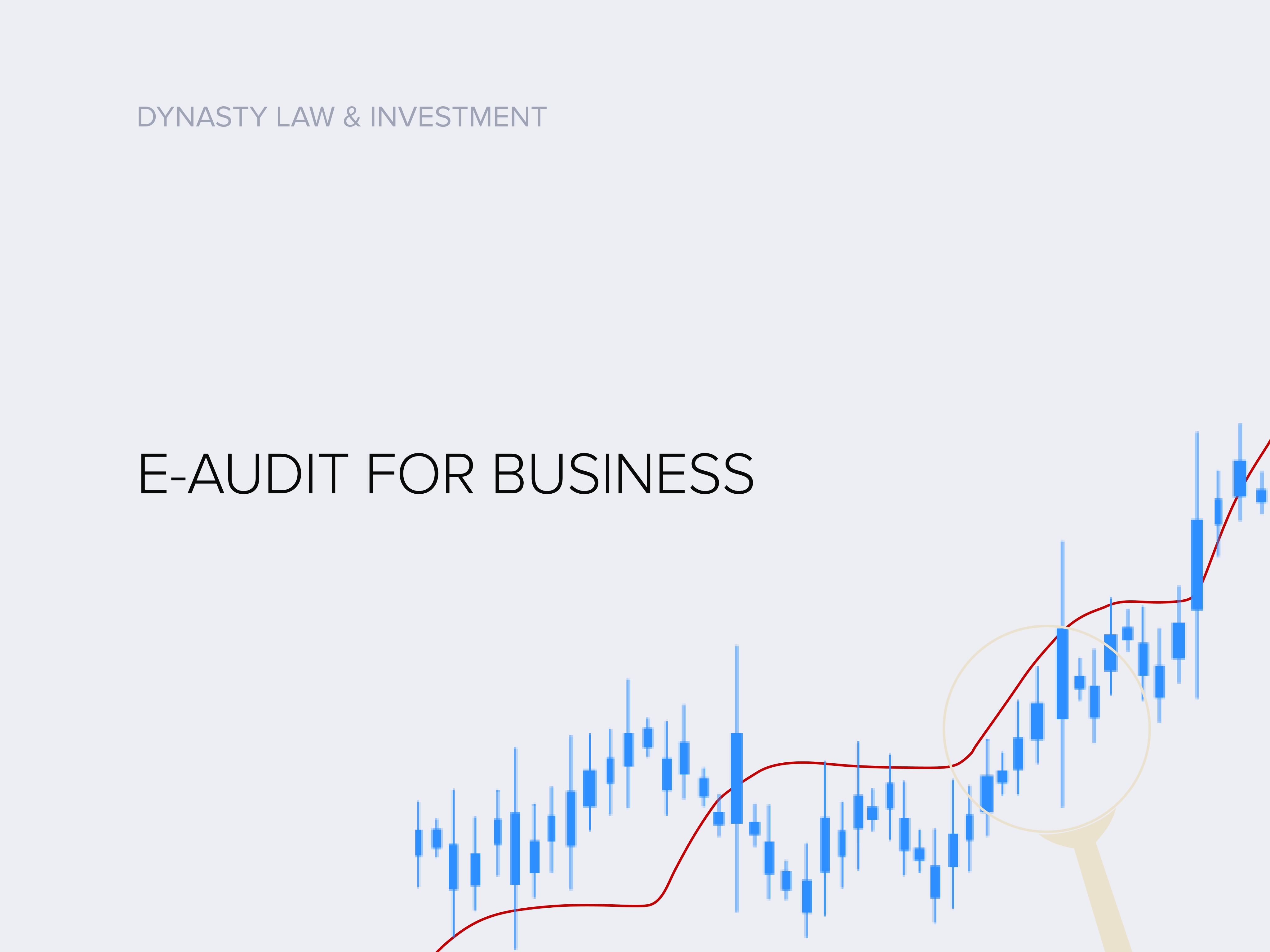 E-audit for businesses has been launched in Ukraine